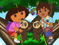 Pametova-hra-s-dora-explorer-a-jejiho-bratrance-diega