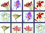 Memory-game-voi-hoa